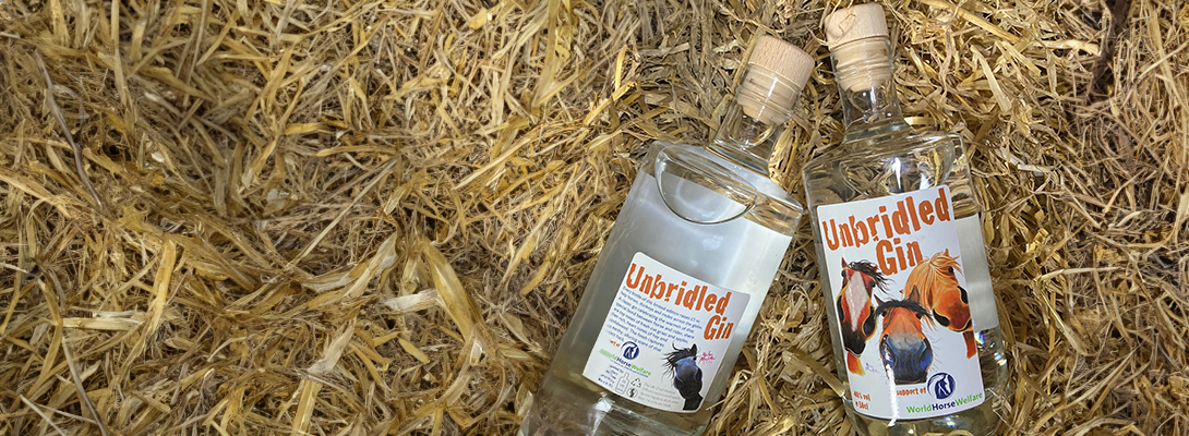 Unbridled Gin