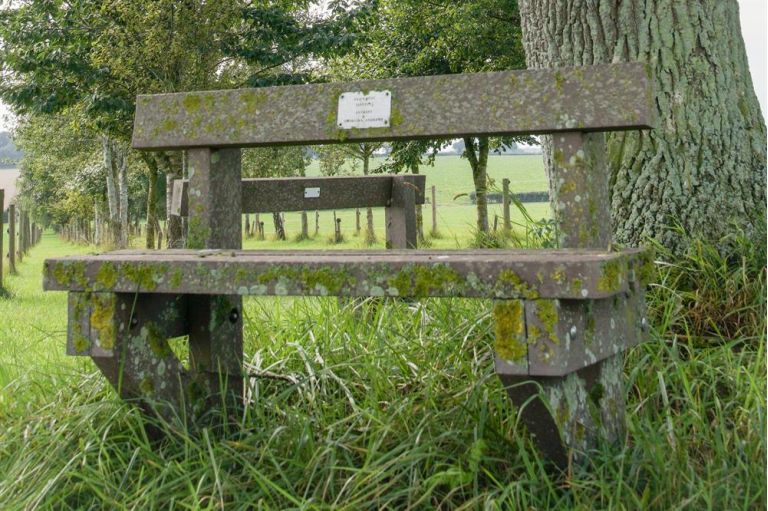 Bench at Belwade Farm