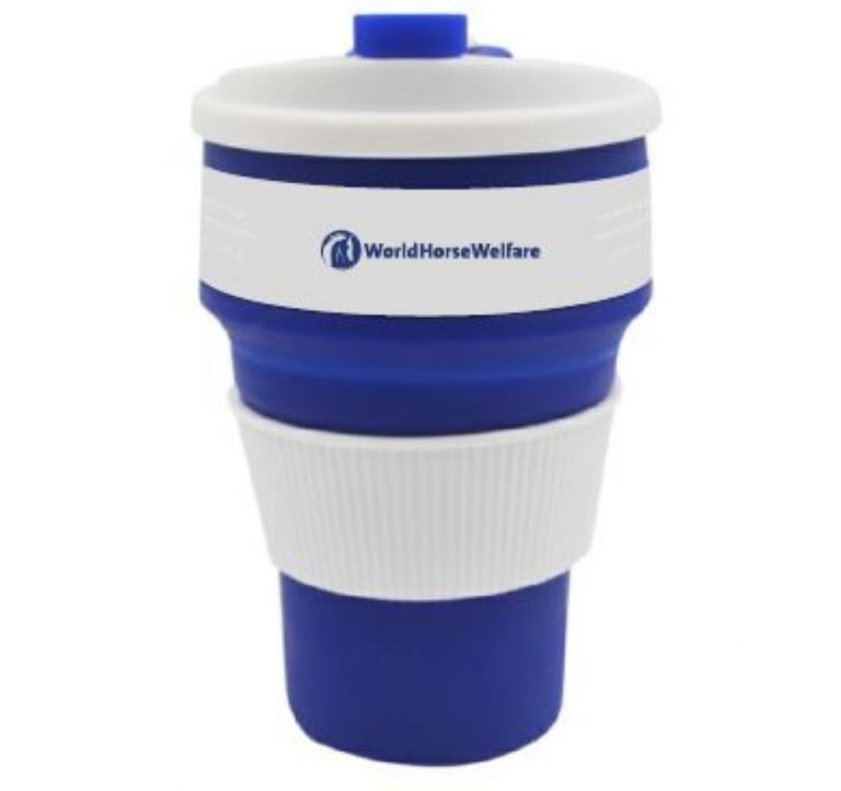 Collapsible cup