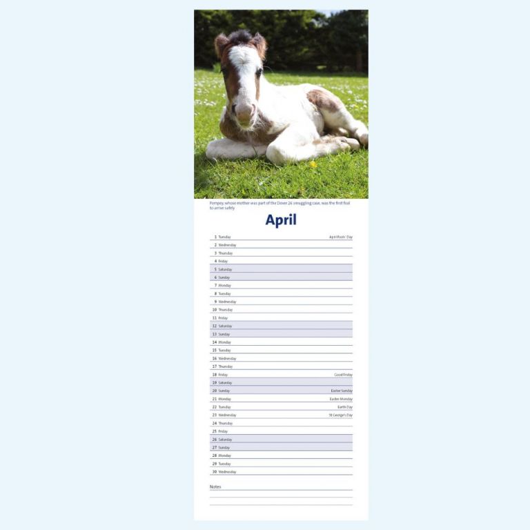 2025 WALL CALENDAR