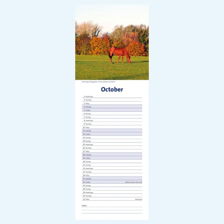2025 WALL CALENDAR