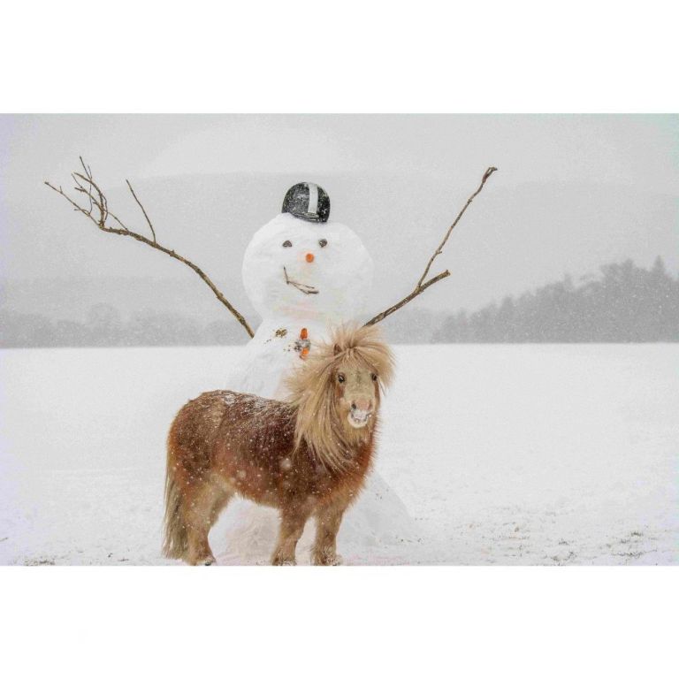 DANCER BUILDING A SNOWMAN