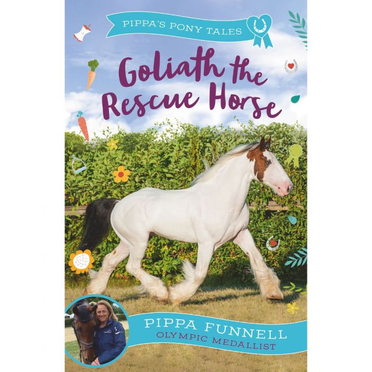 13. GOLIATH THE RESCUE HORSE